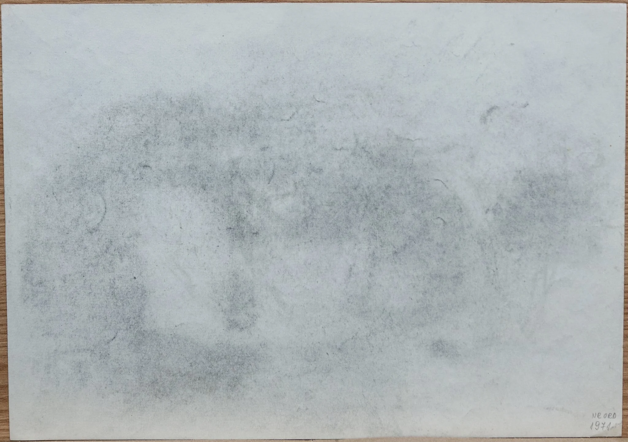 Natură statică (copie), by Teodor Hrib, 1950