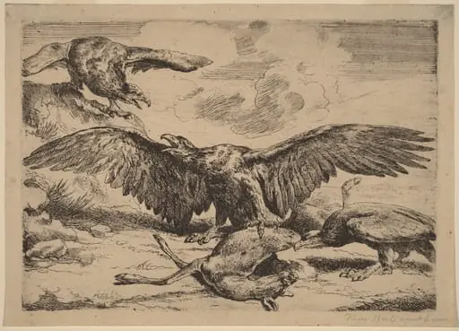 Eagles