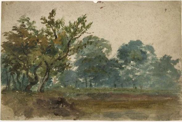 Trees in a Park, by William Howis senior, unspecified, 1835