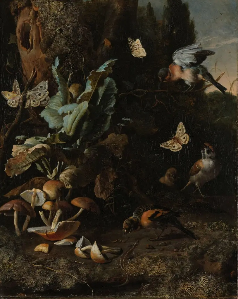 Animals and plants