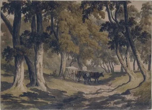 Woodland Road with Ox-waggon