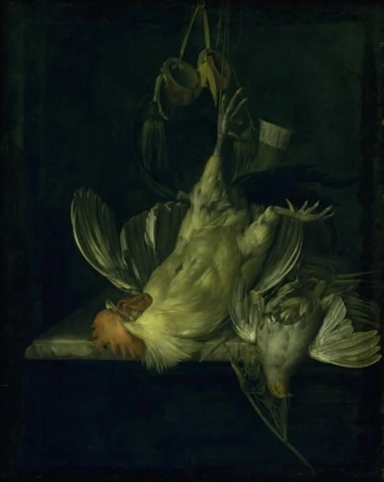 A Dead White Cock, by Unknown, 1650