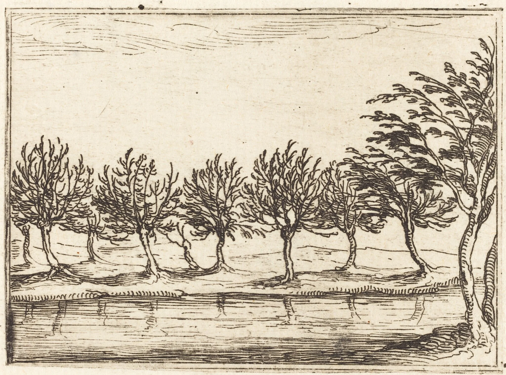 Willows by the Water's Edge, by Jacques Callot, ink, 1628