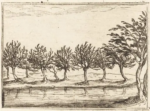 Willows by the Water's Edge