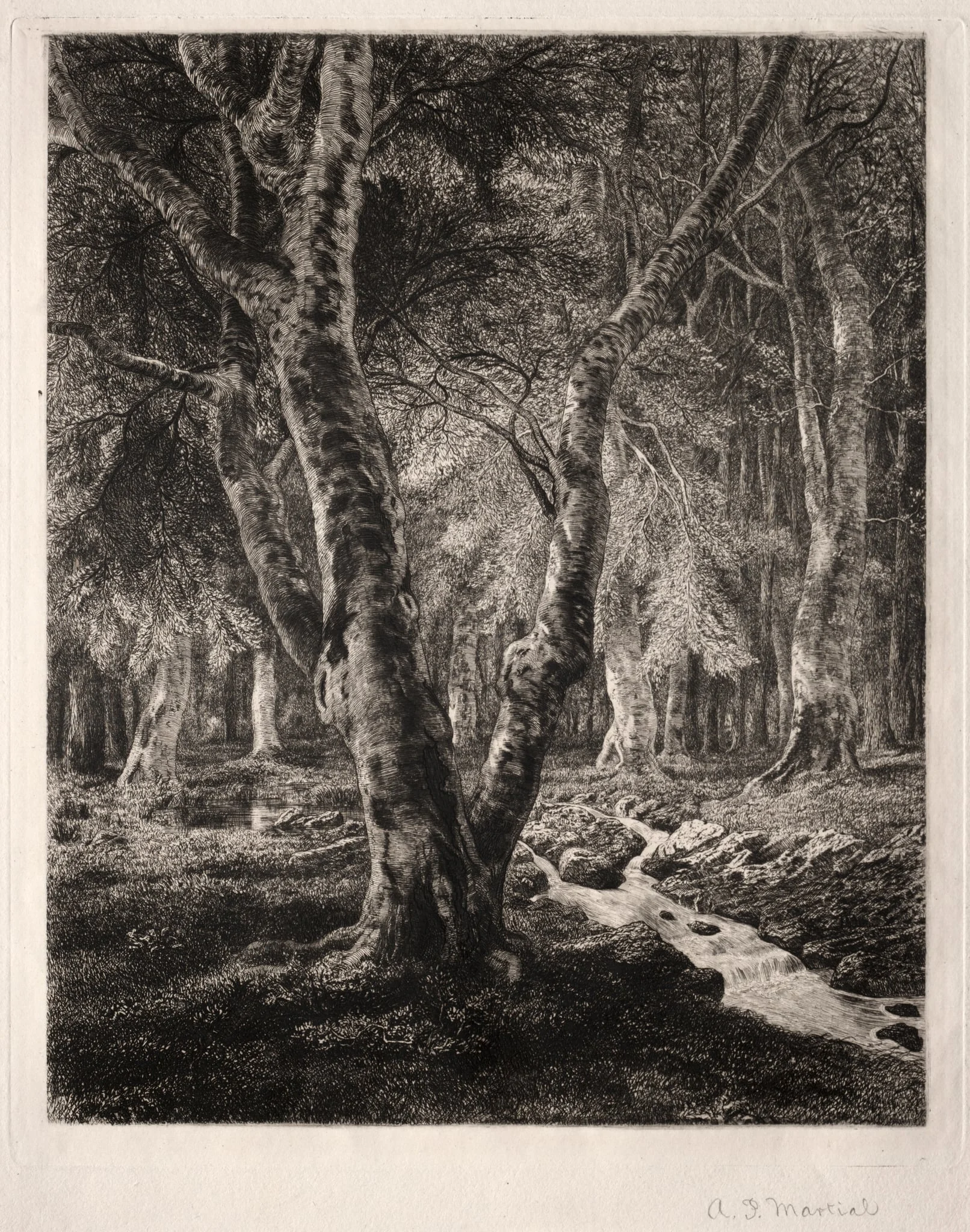 Forest of Pierrefonds