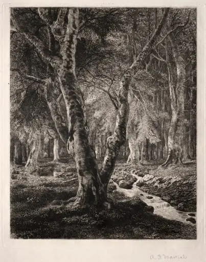 Forest of Pierrefonds