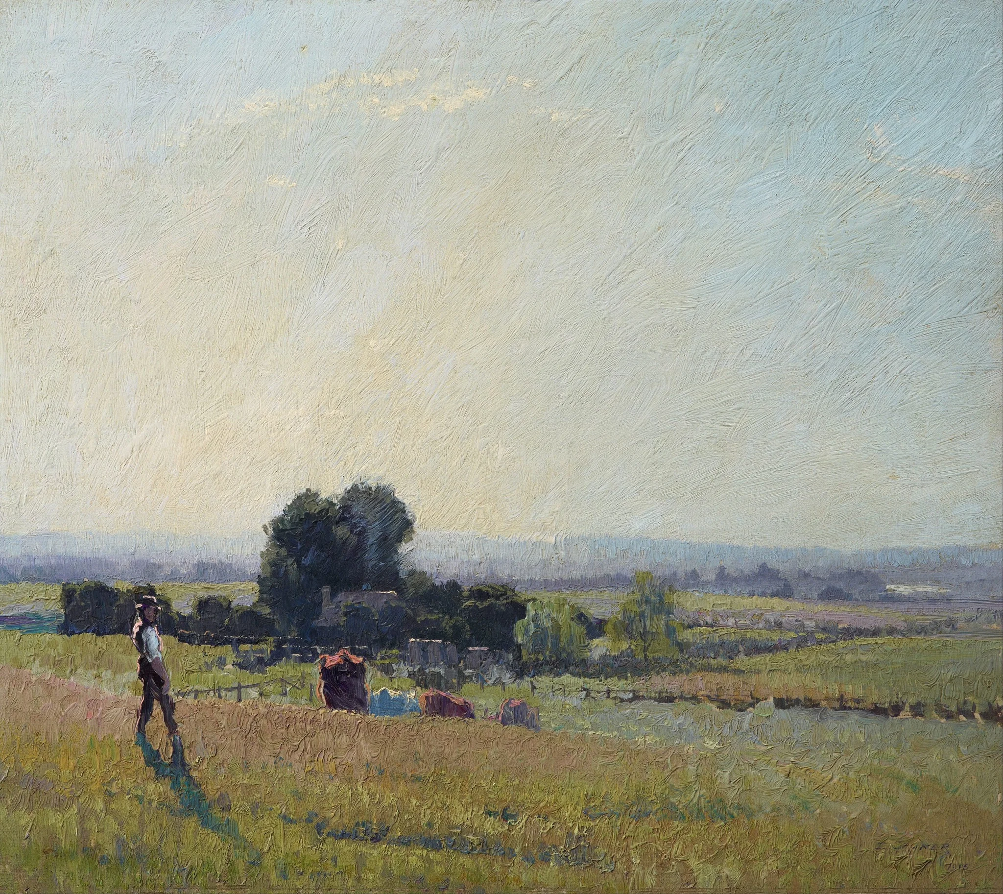 Morning light