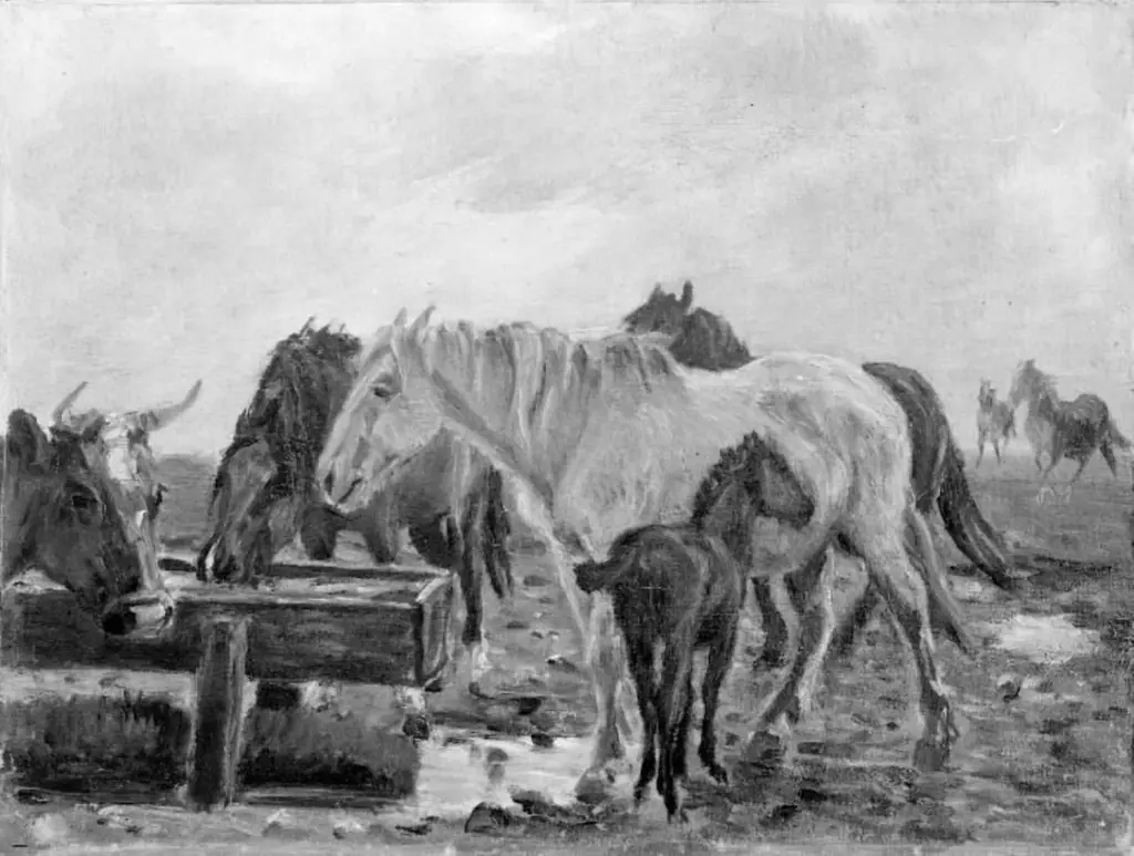 Horses at a Watering Trough