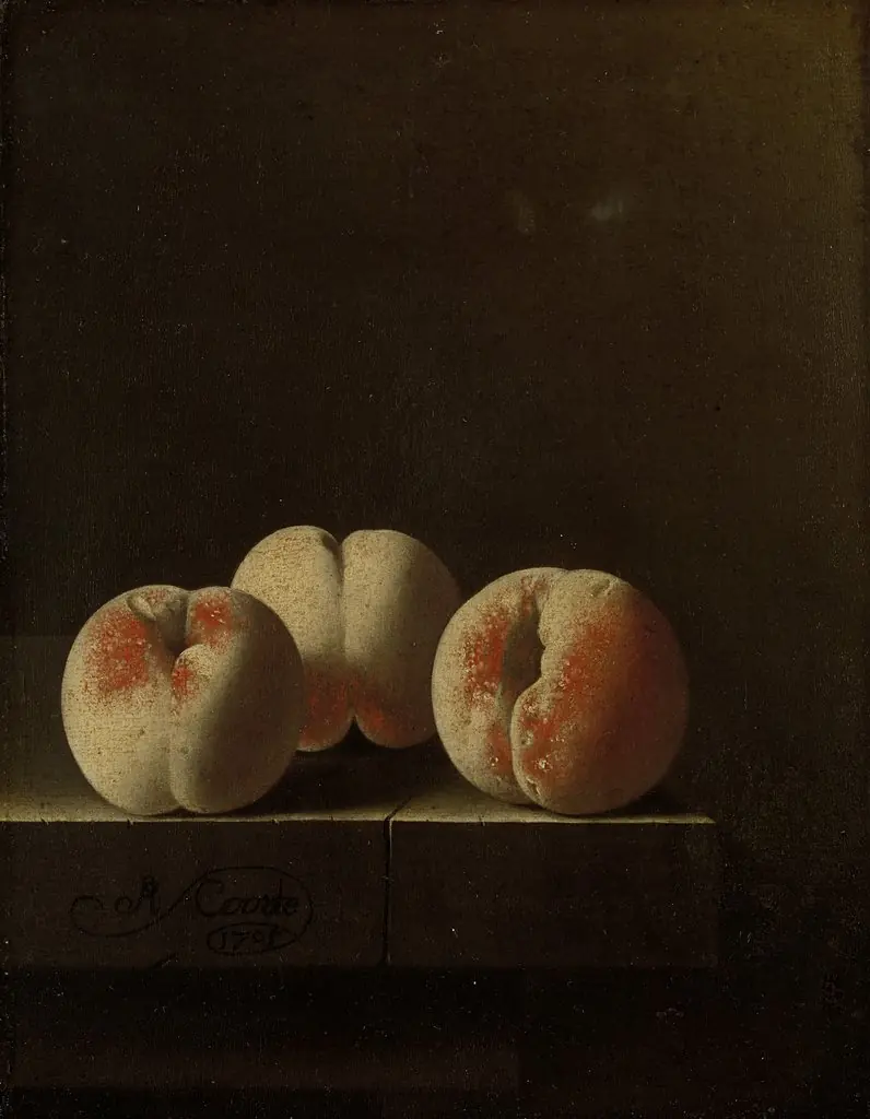 Q114453252