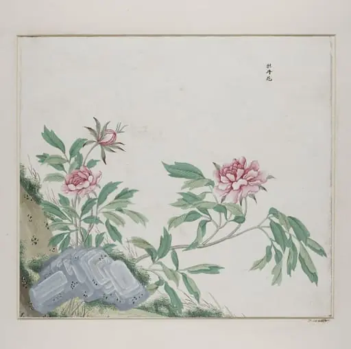 Mua dan hua
