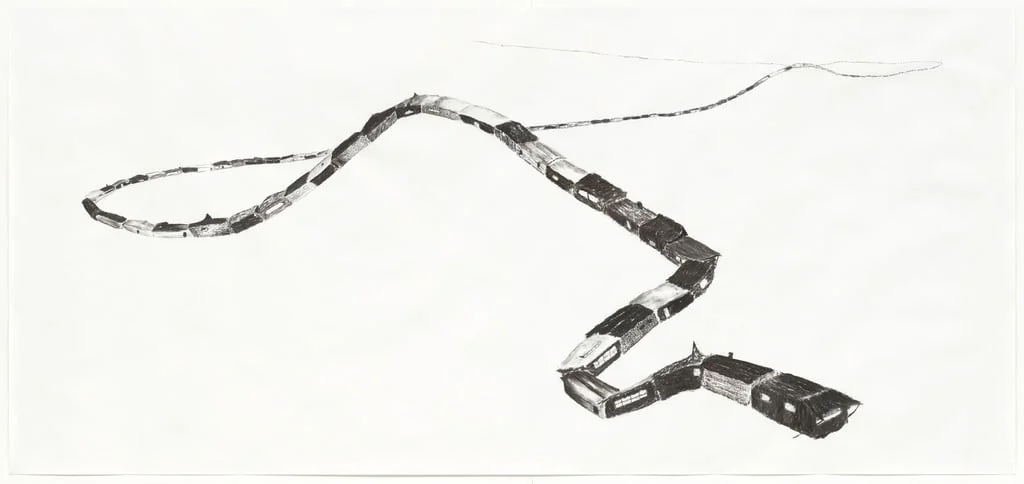 Untitled, by Matías Duville, charcoal, 2011