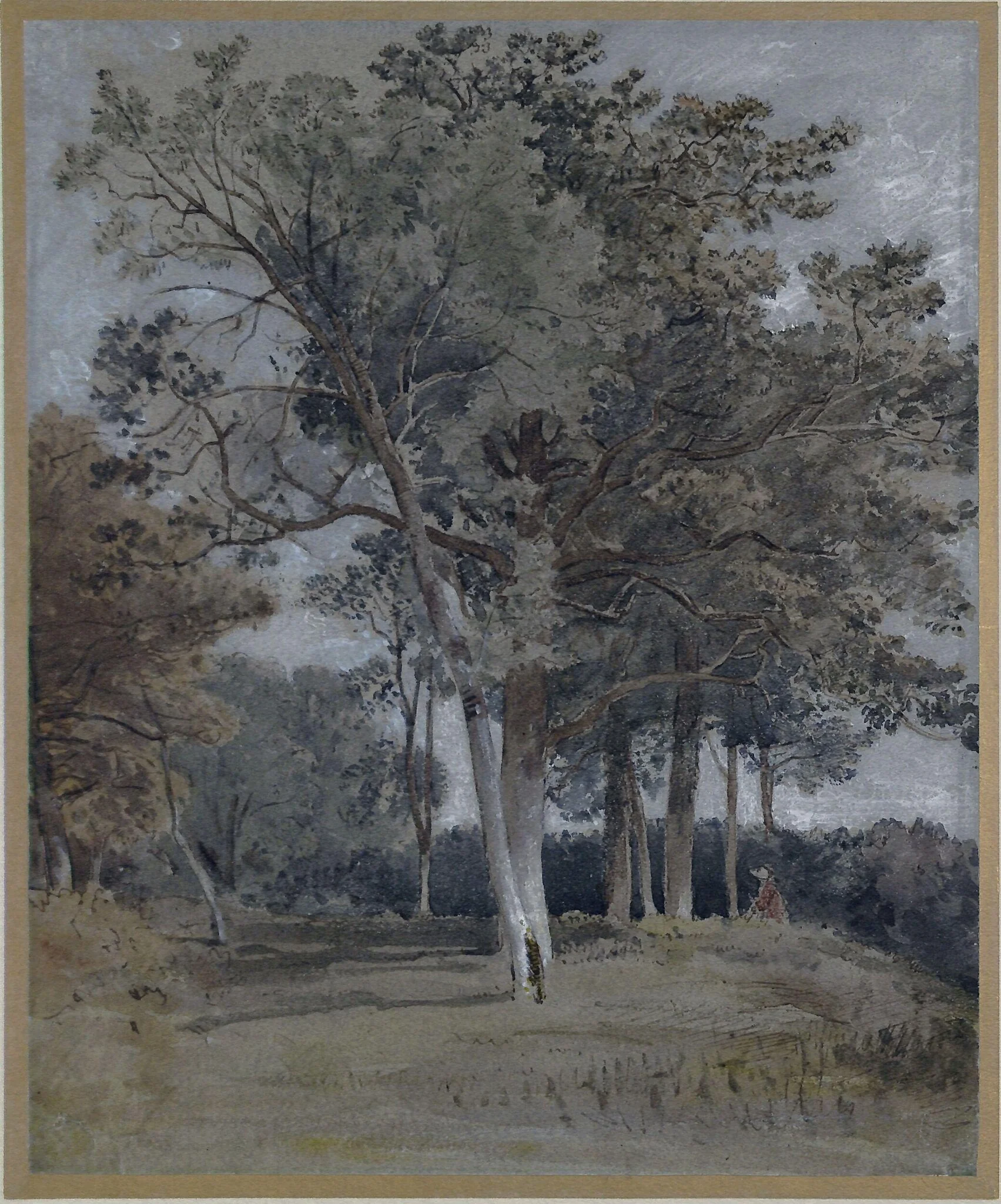 Study of trees at Ballater, Aberdeenshire, by Andrew Wilson, watercolor, 1850