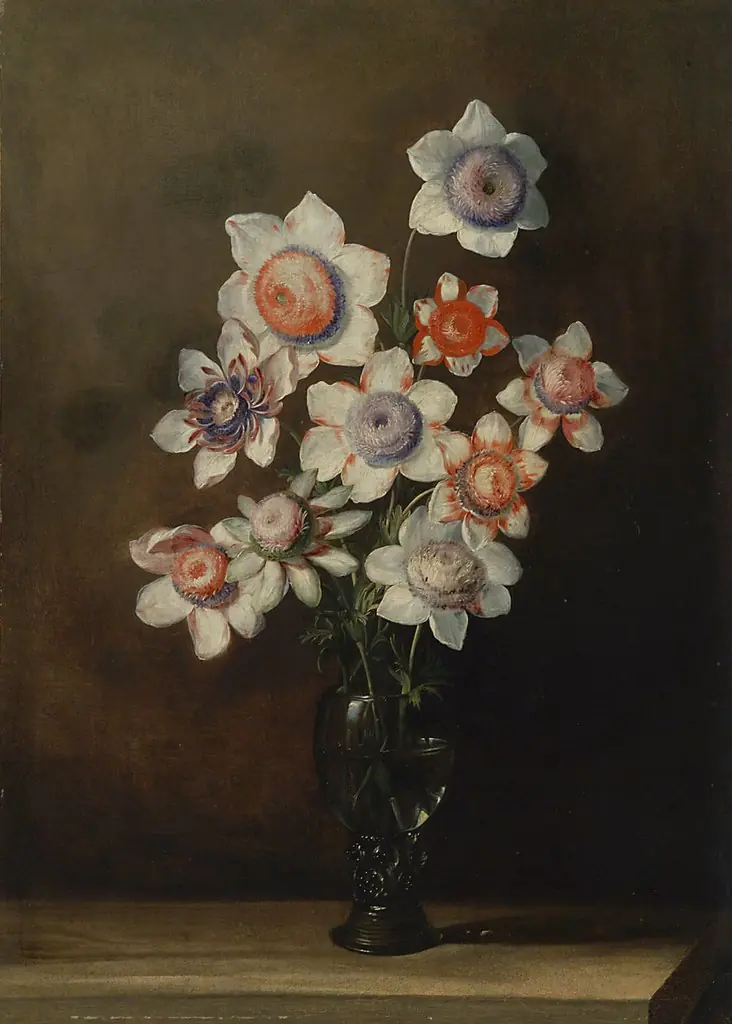 Glass with Anemones