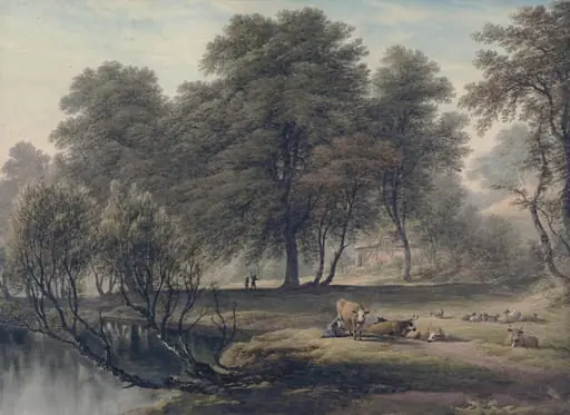 View near Lichfield - Morning