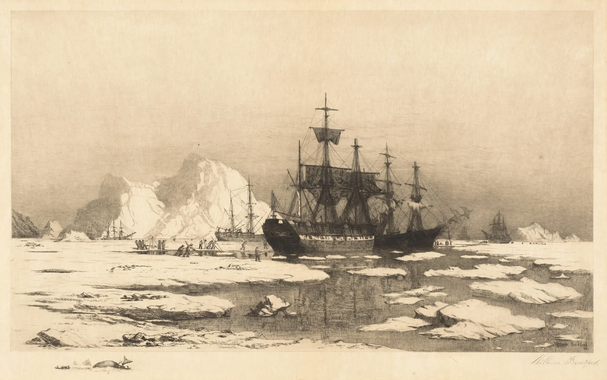 Among the Ice Floes