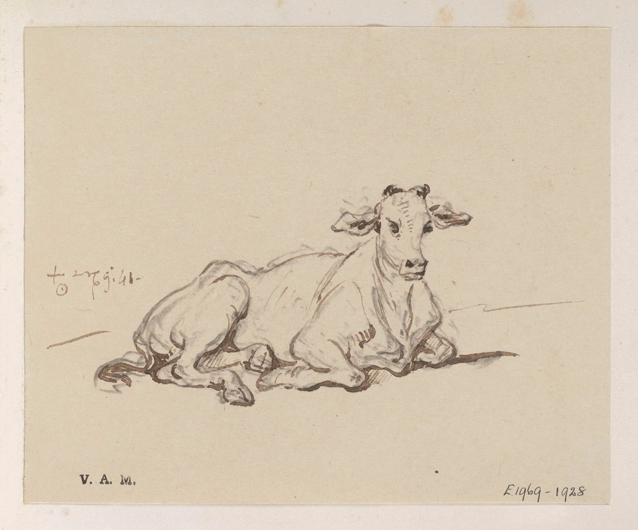 A cow, by George Chinnery, 8
