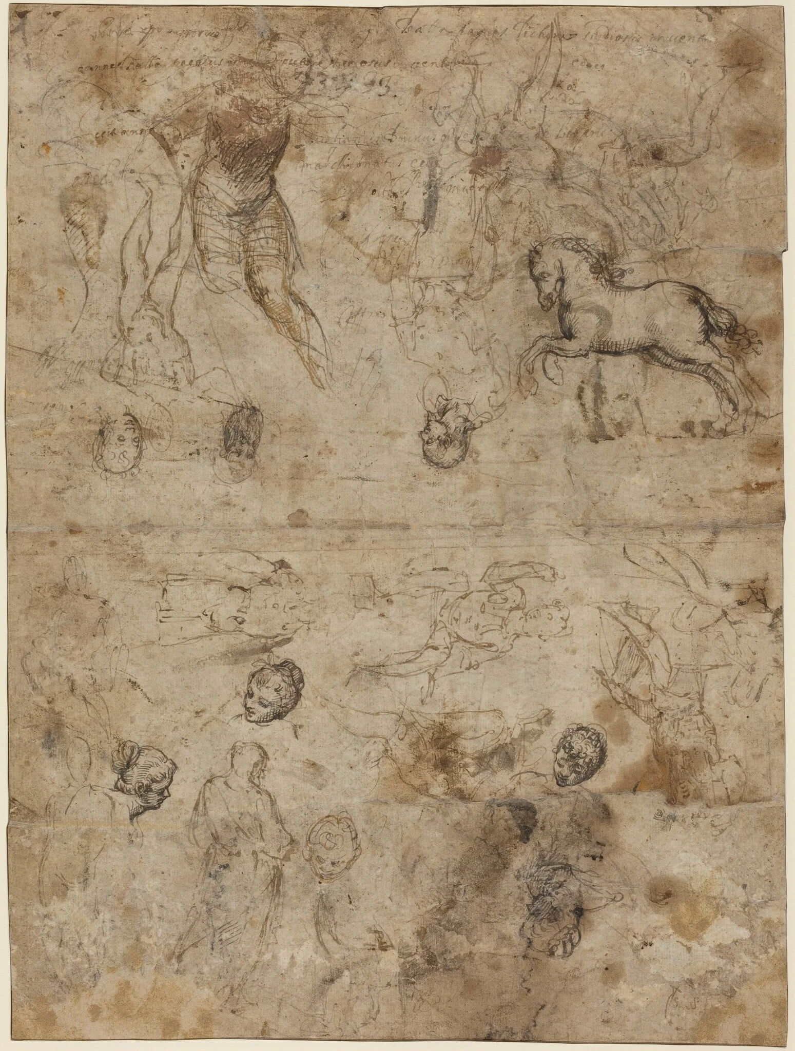 Sheet of Studies