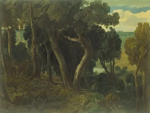 Wychwood Forest, Oxfordshire