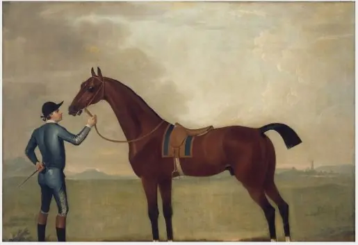 A Bay Racehorse with a Jockey in the Colours of Wyndham Quin