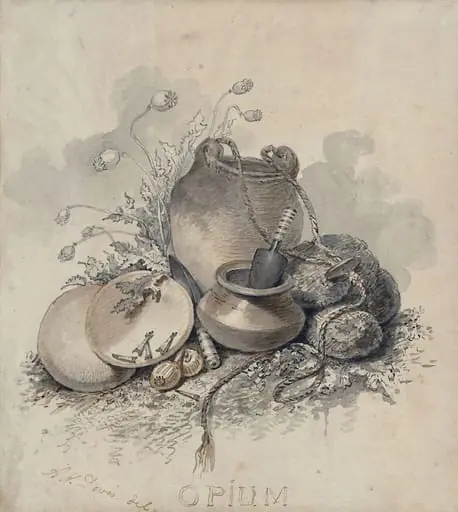 A group of objects associated with the cultivation of opium
