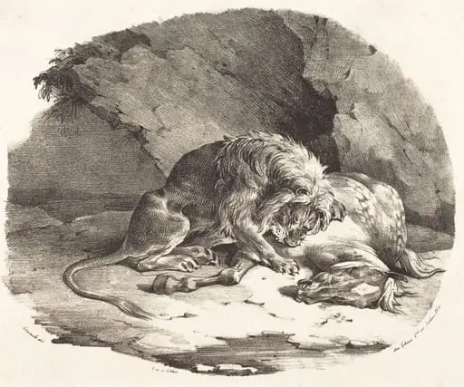 Lion Devouring a Horse