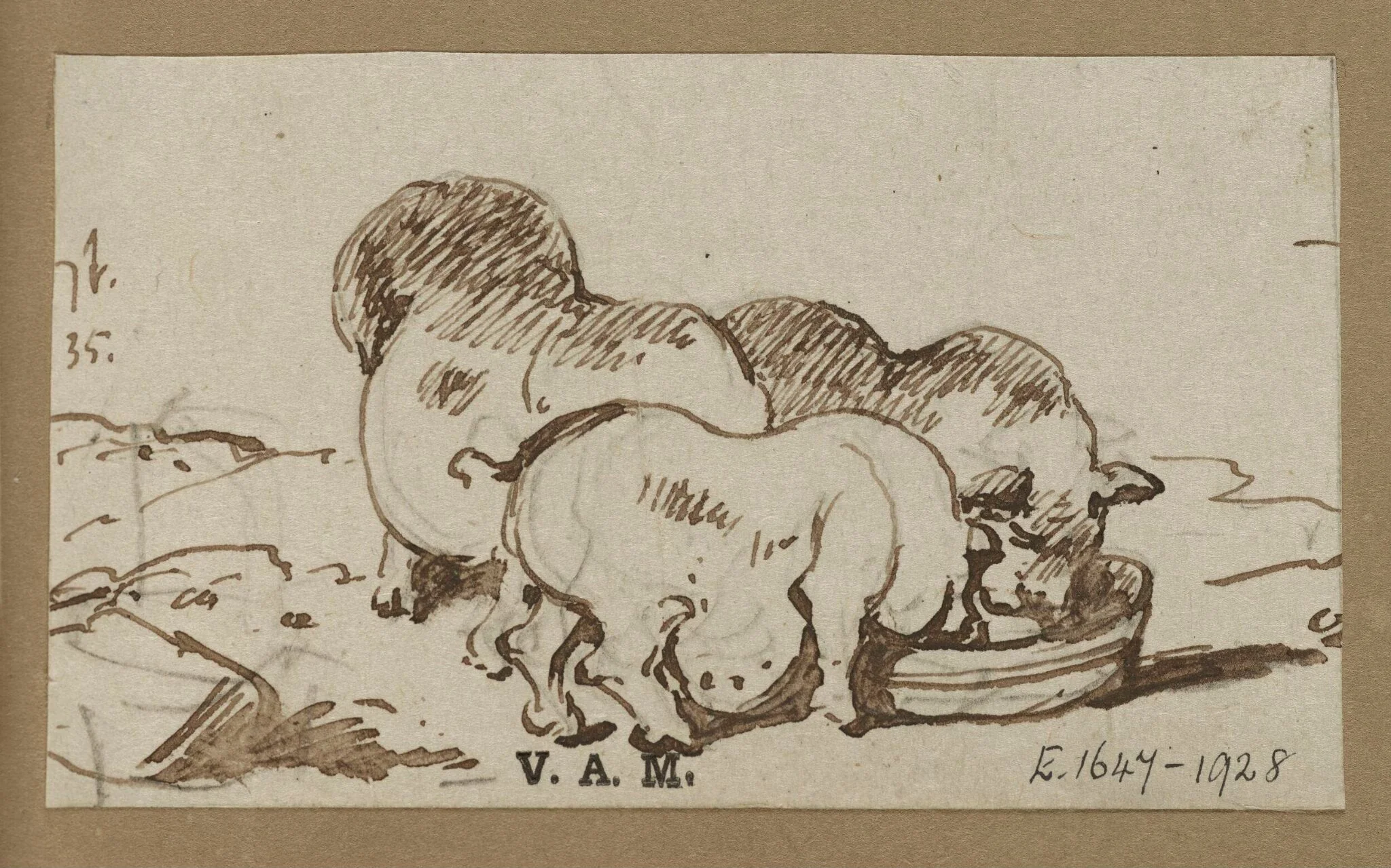 Three pigs, by George Chinnery, 2