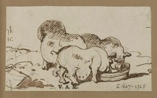 Three pigs
