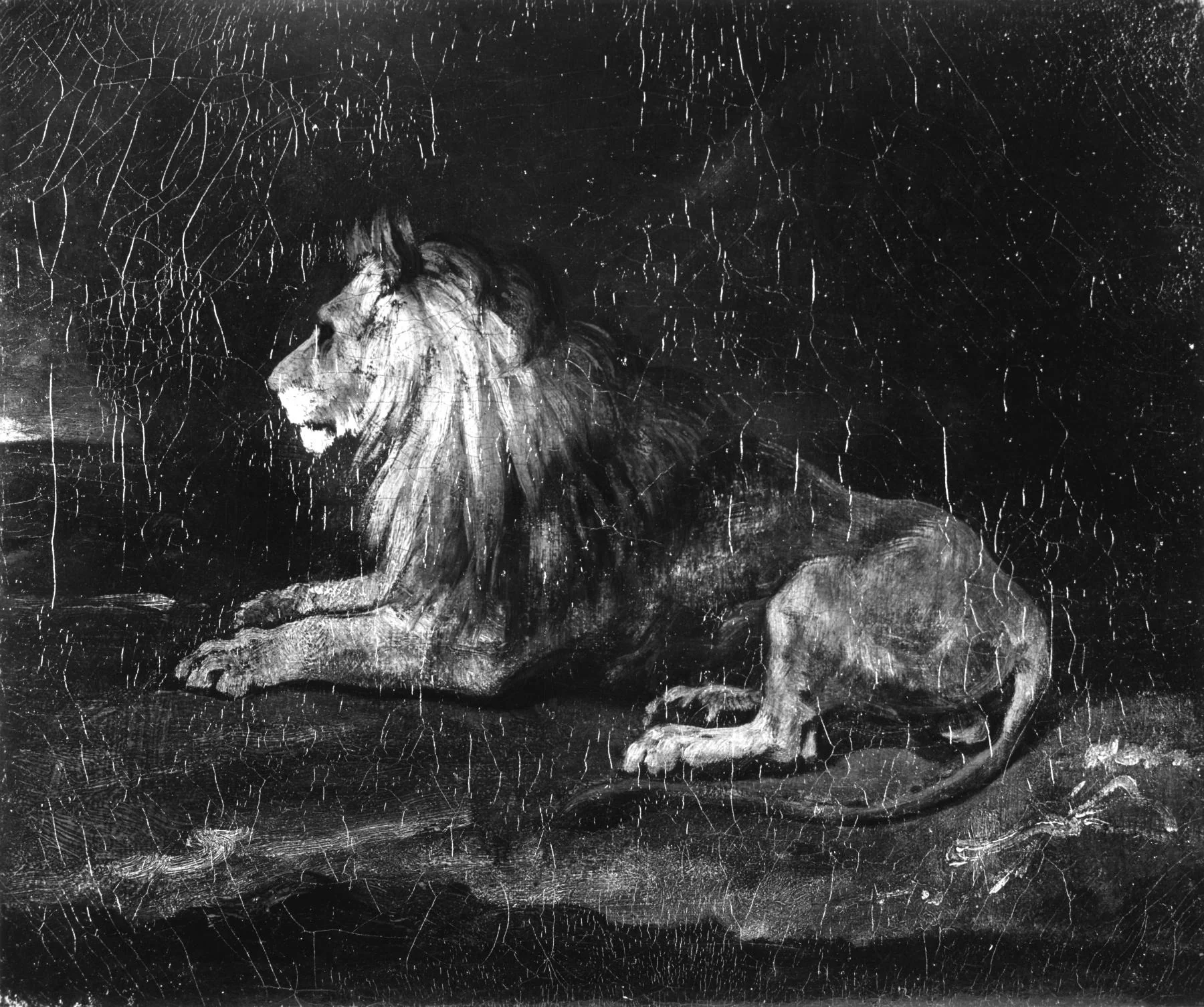 Lion in Repose, by Théodore Géricault, oil, 1850