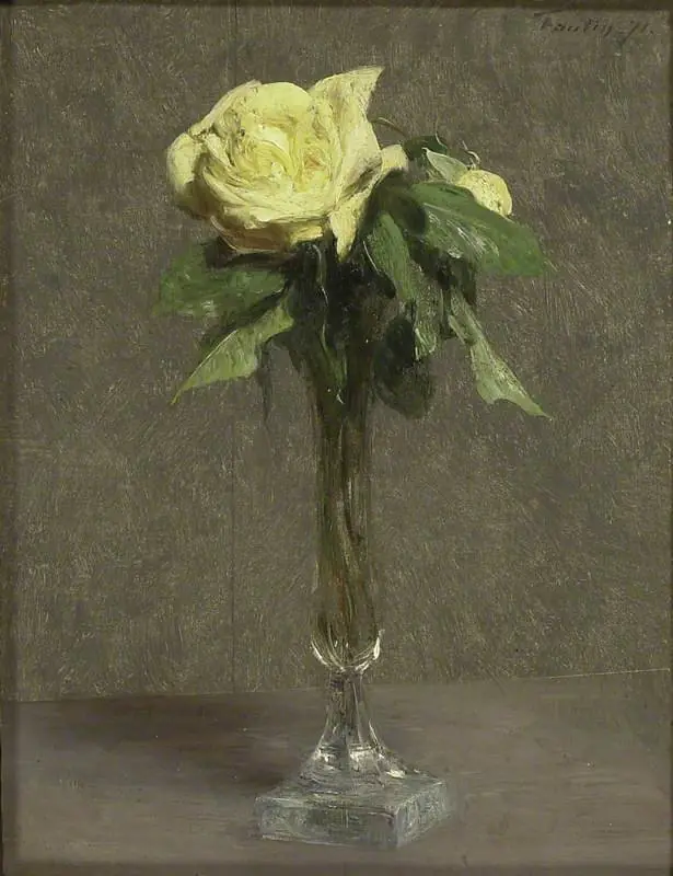 Still Life: A yellow Rose