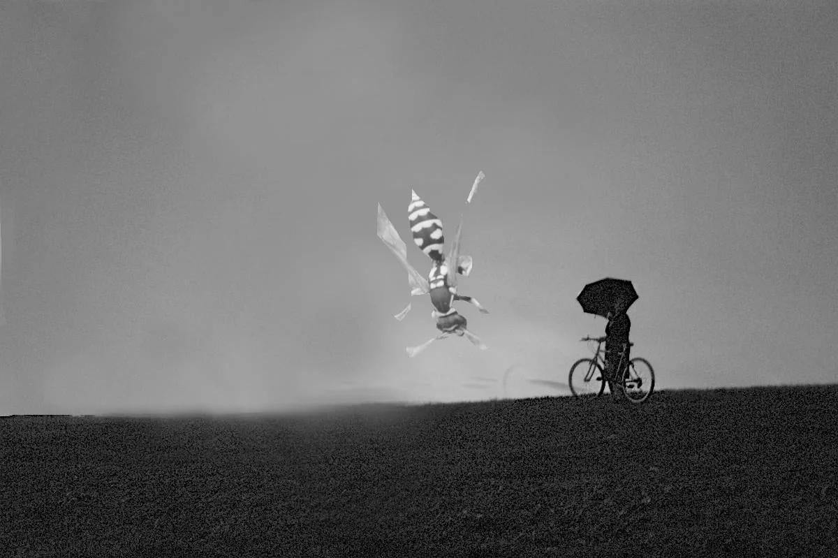 Άτιτλο, by Marina Provatidou, 2007