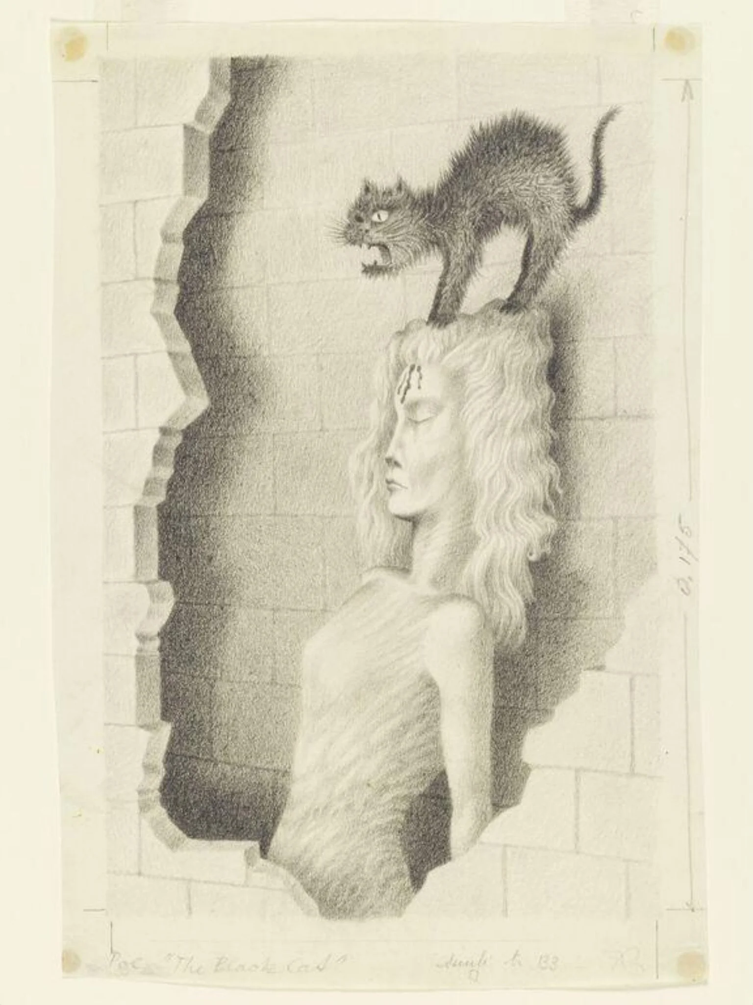 The Black Cat