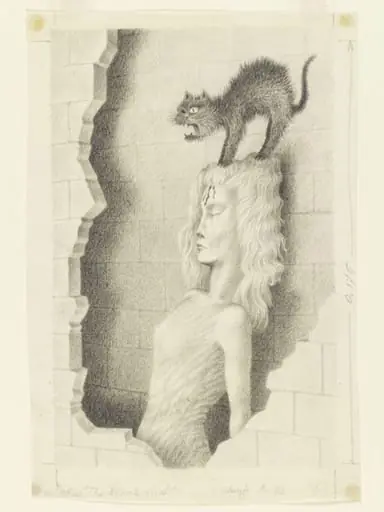 The Black Cat