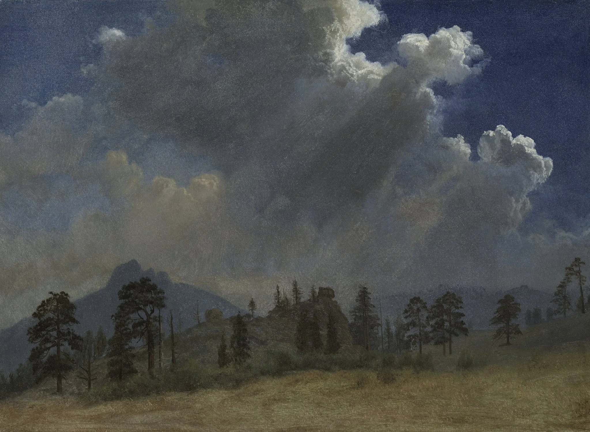 Fir Trees and Storm Clouds, by Albert Bierstadt, unspecified, 1870