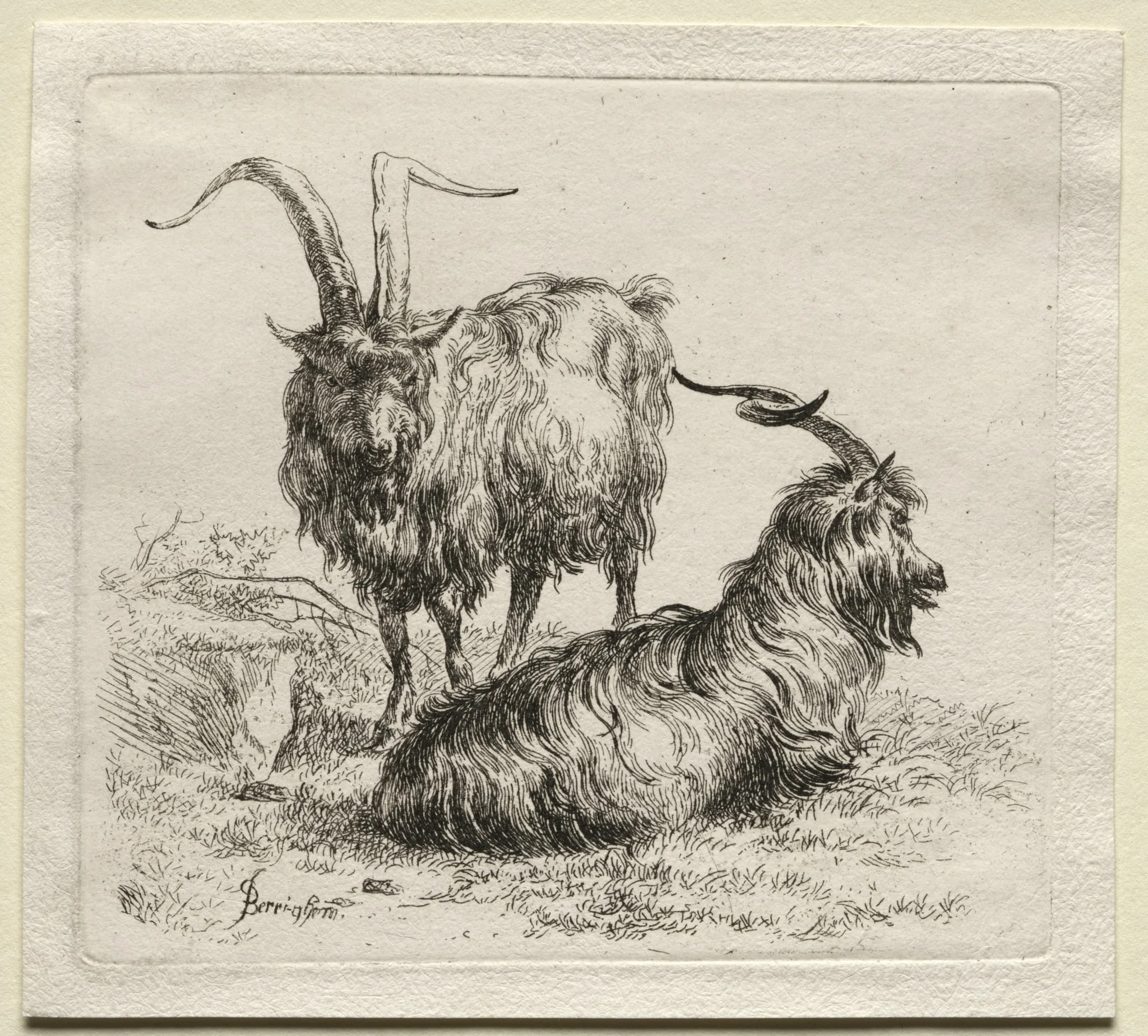 Animalia: Two Goats, by Nicolaes Pieterszoon Berchem, 1659