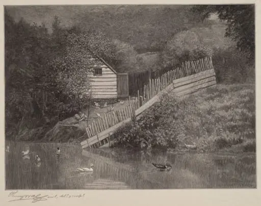 A Duck Pond