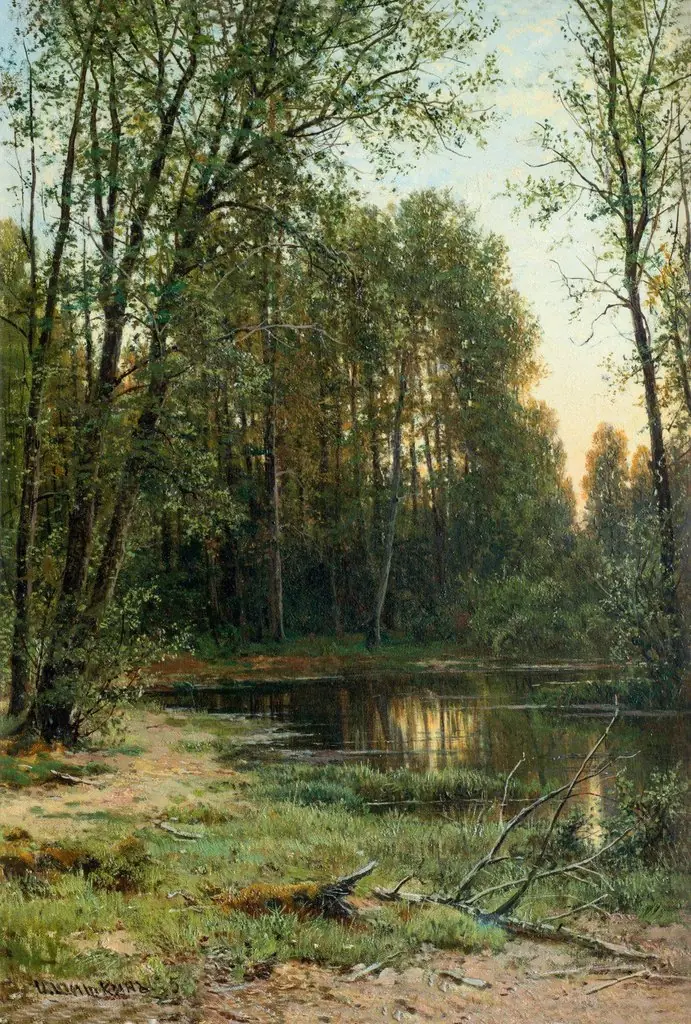 River backwater in the forest