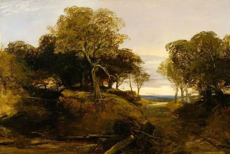 A path through a wooded landscape