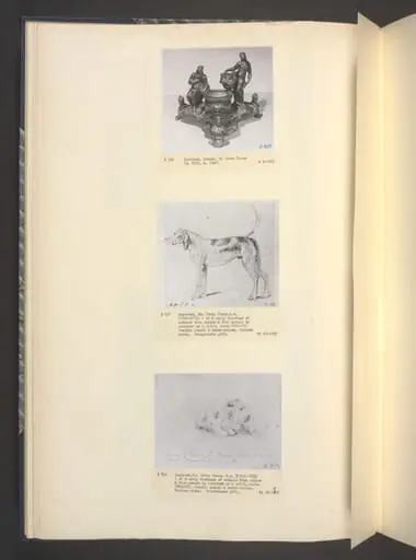 Drawing of a dog
