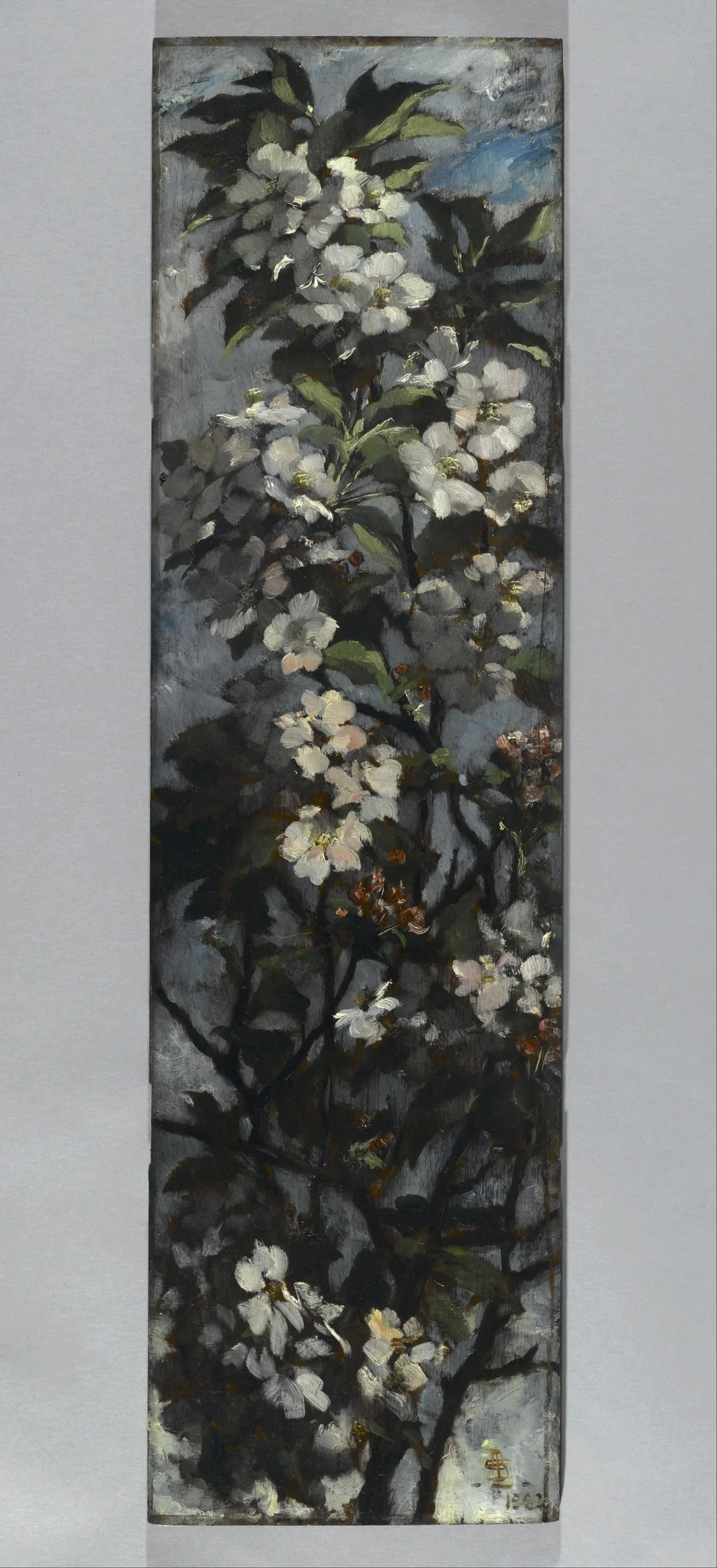 Apple Blossoms