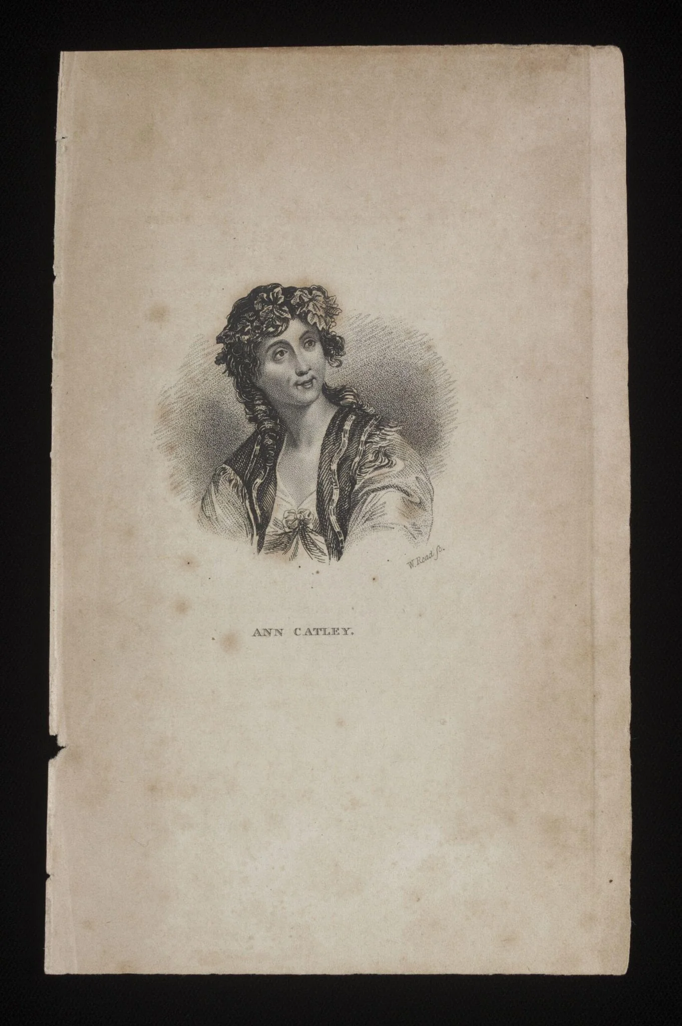 H Beard Print Collection