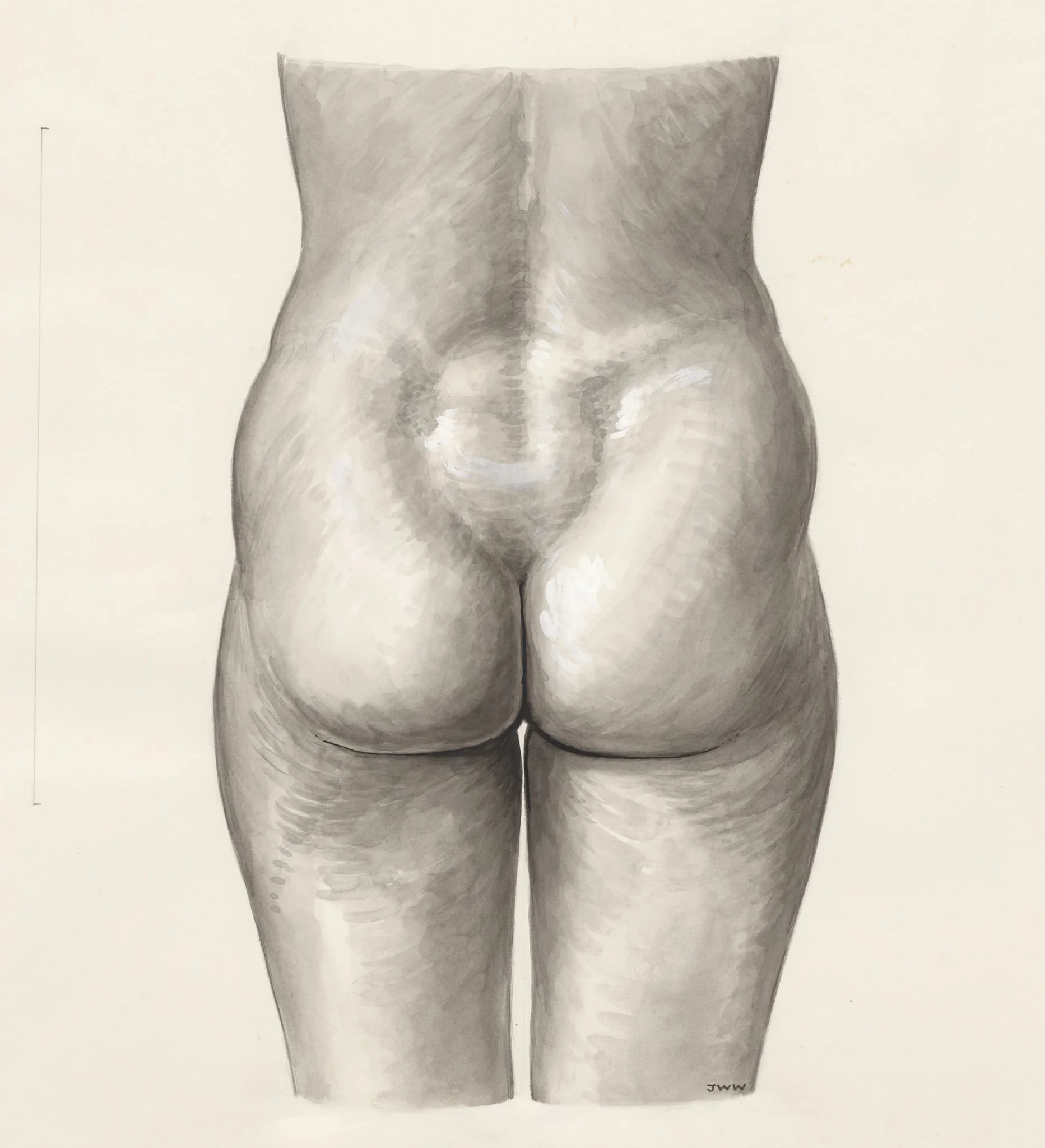 Female lower back and buttocks, by J Wetselaar-Whittaker, 1970