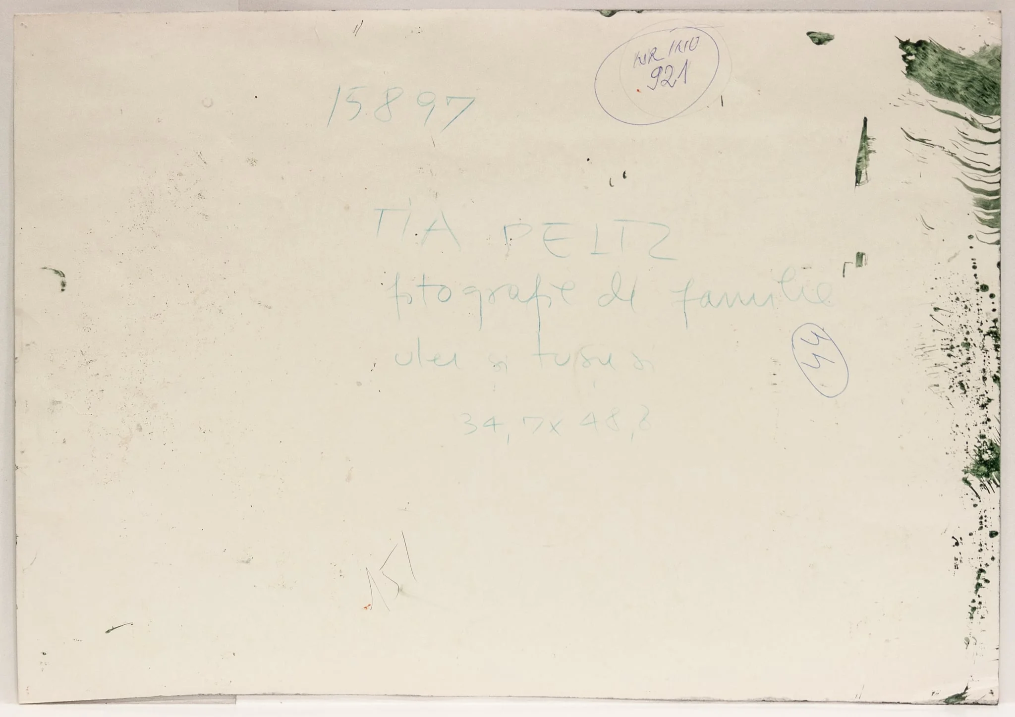 Fotografie de familie, by Tia Peltz, 1950