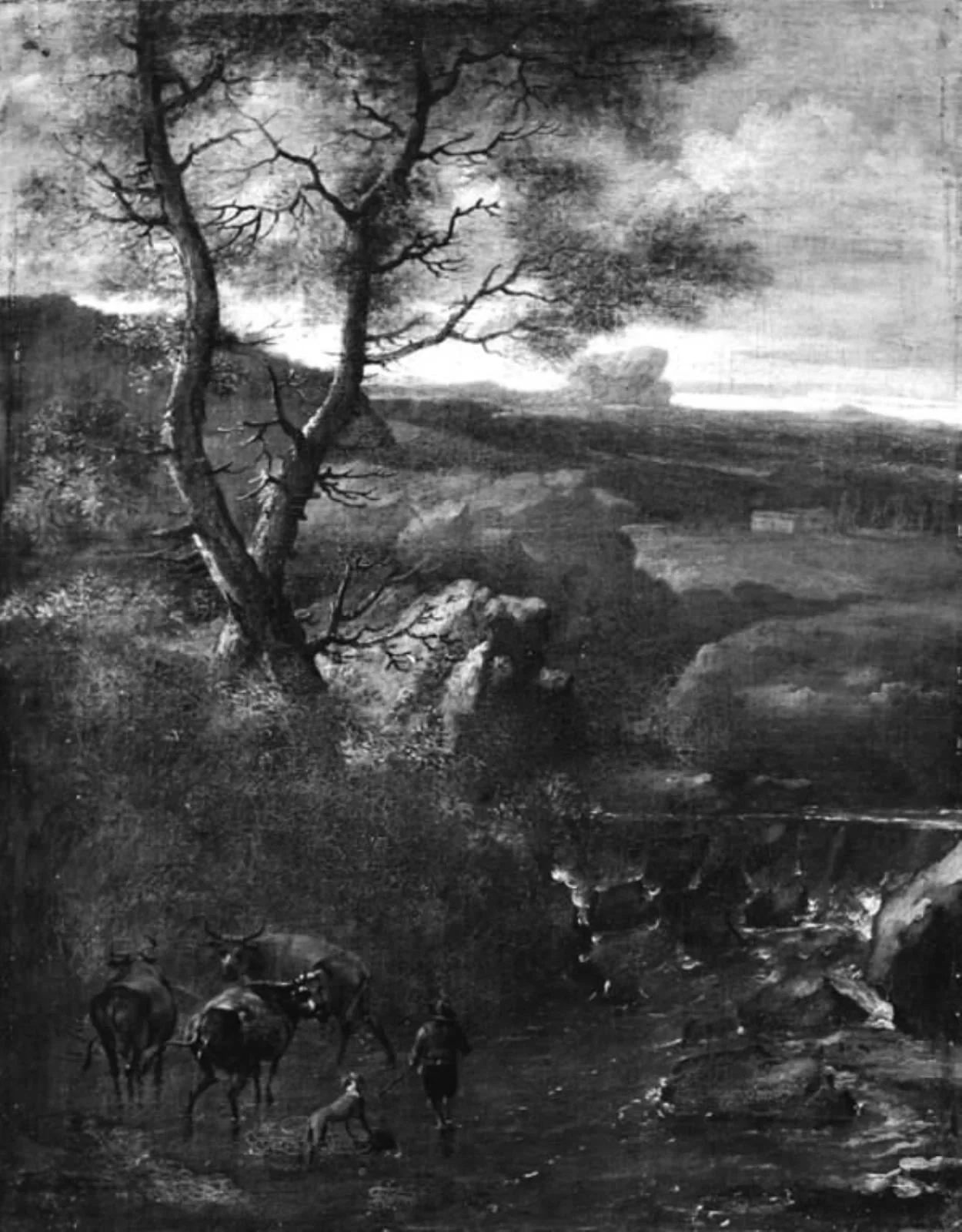 A Landscape with Cattle, by Unknown, unspecified, 1650