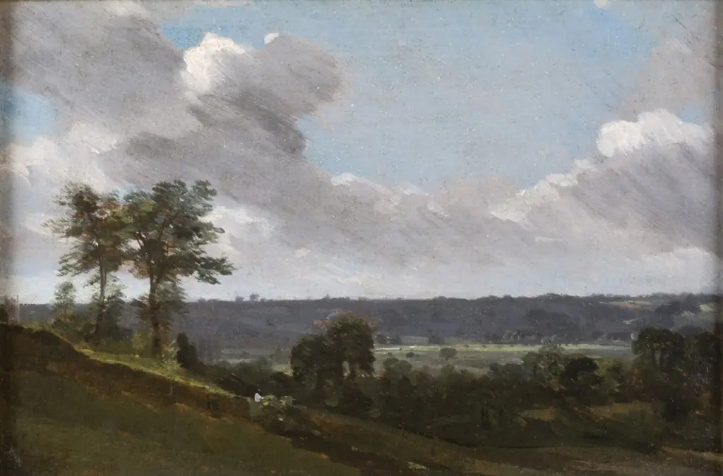Hilly Landscape