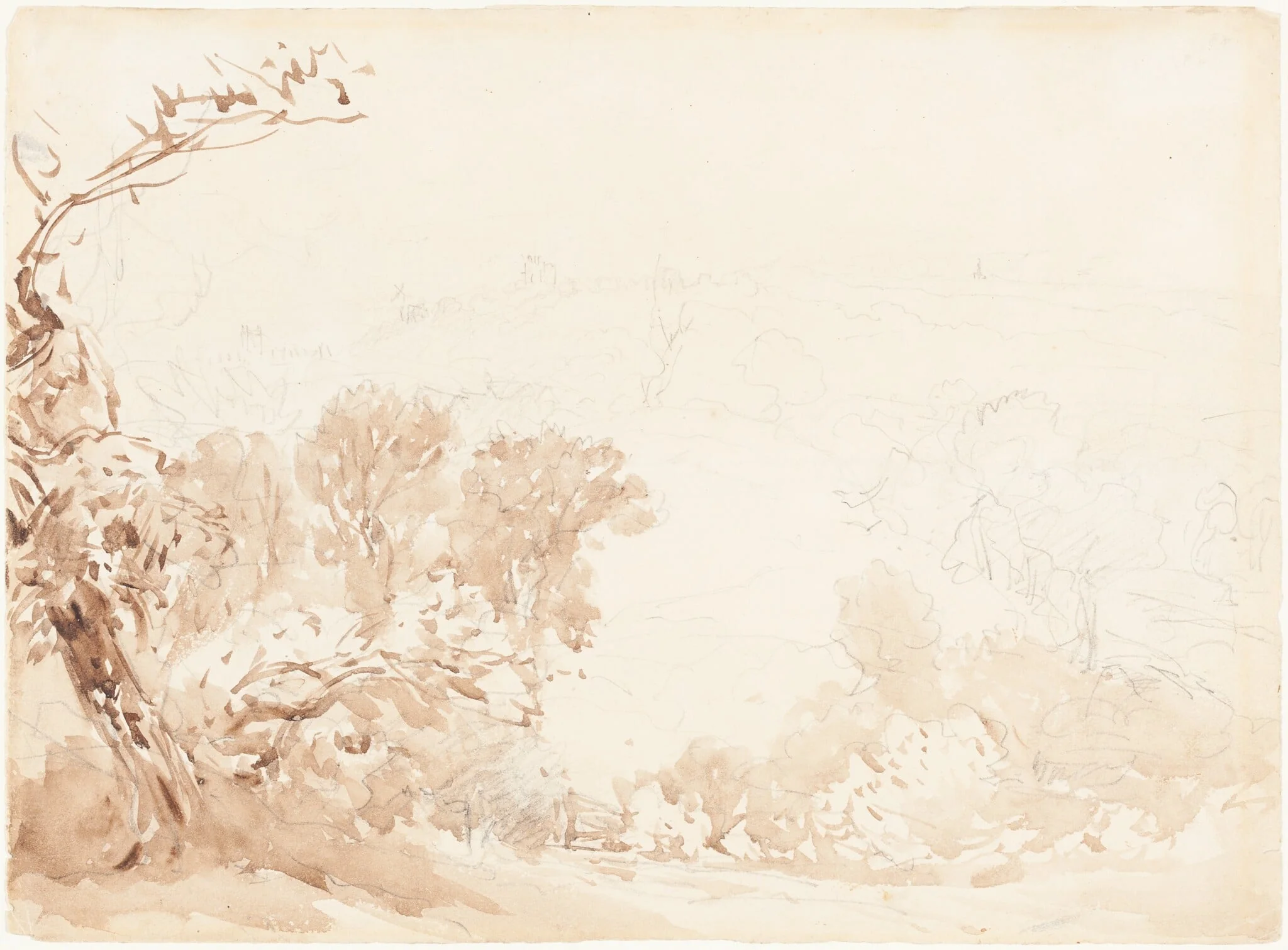 Hillside and Trees