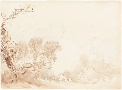 Hillside and Trees