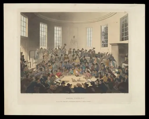 H Beard Print Collection