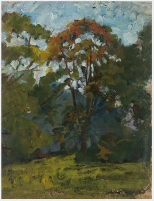 Sketch of Trees