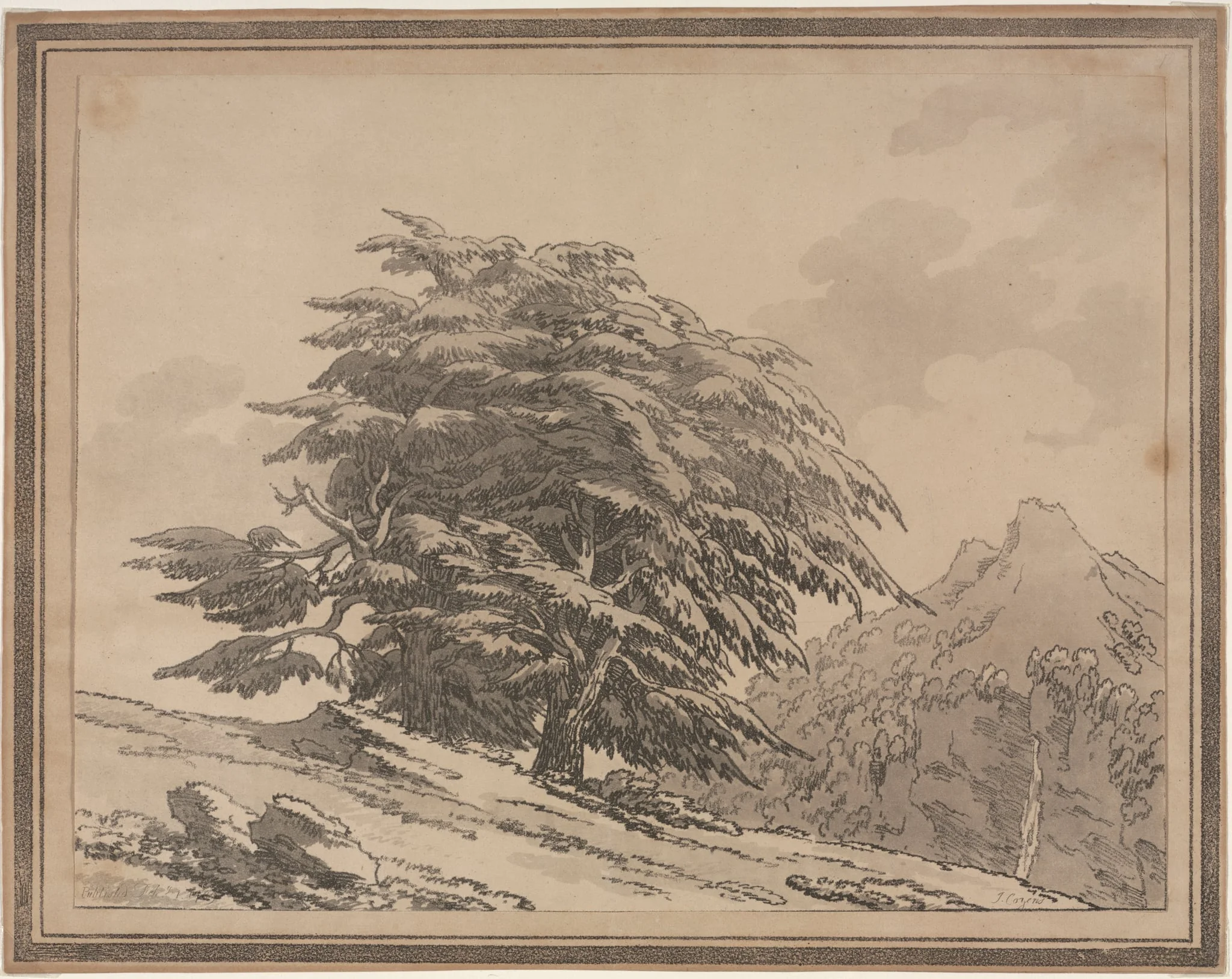 Delineations of the General Character Ramifications and Foliage of Forest Trees: Cedar, by John Robert Cozens, 1789