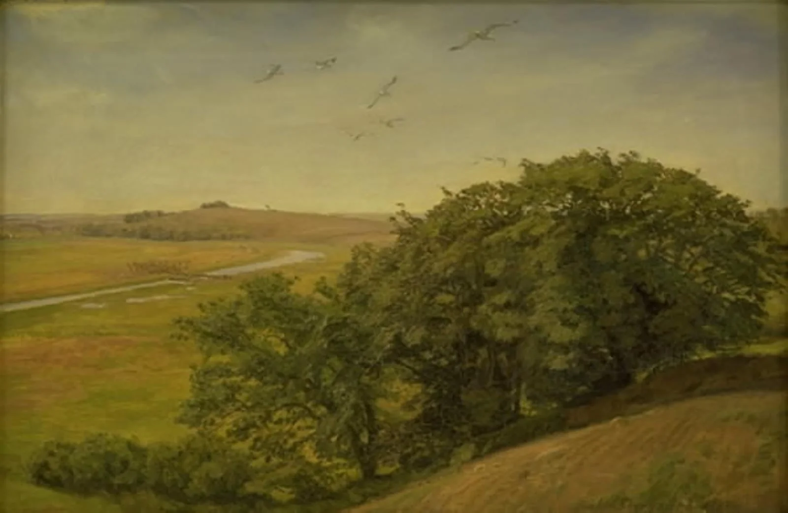 Landskab med træer på en skrænt, by Unknown, 1888